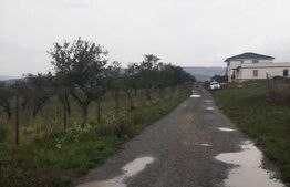 Teren intravilan 850 mp, zona Oasului 