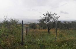 Teren intravilan 850 mp, zona Oasului 