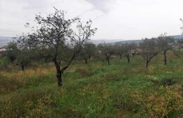 Teren intravilan 850 mp, zona Oasului 