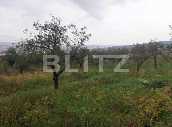 Teren de vânzare Iris - 98608TV | BLITZ Cluj-Napoca | Poza2