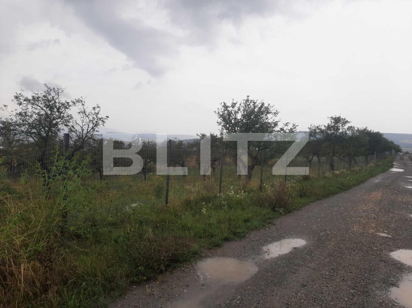 Teren de vânzare Iris - 98608TV | BLITZ Cluj-Napoca | Poza4