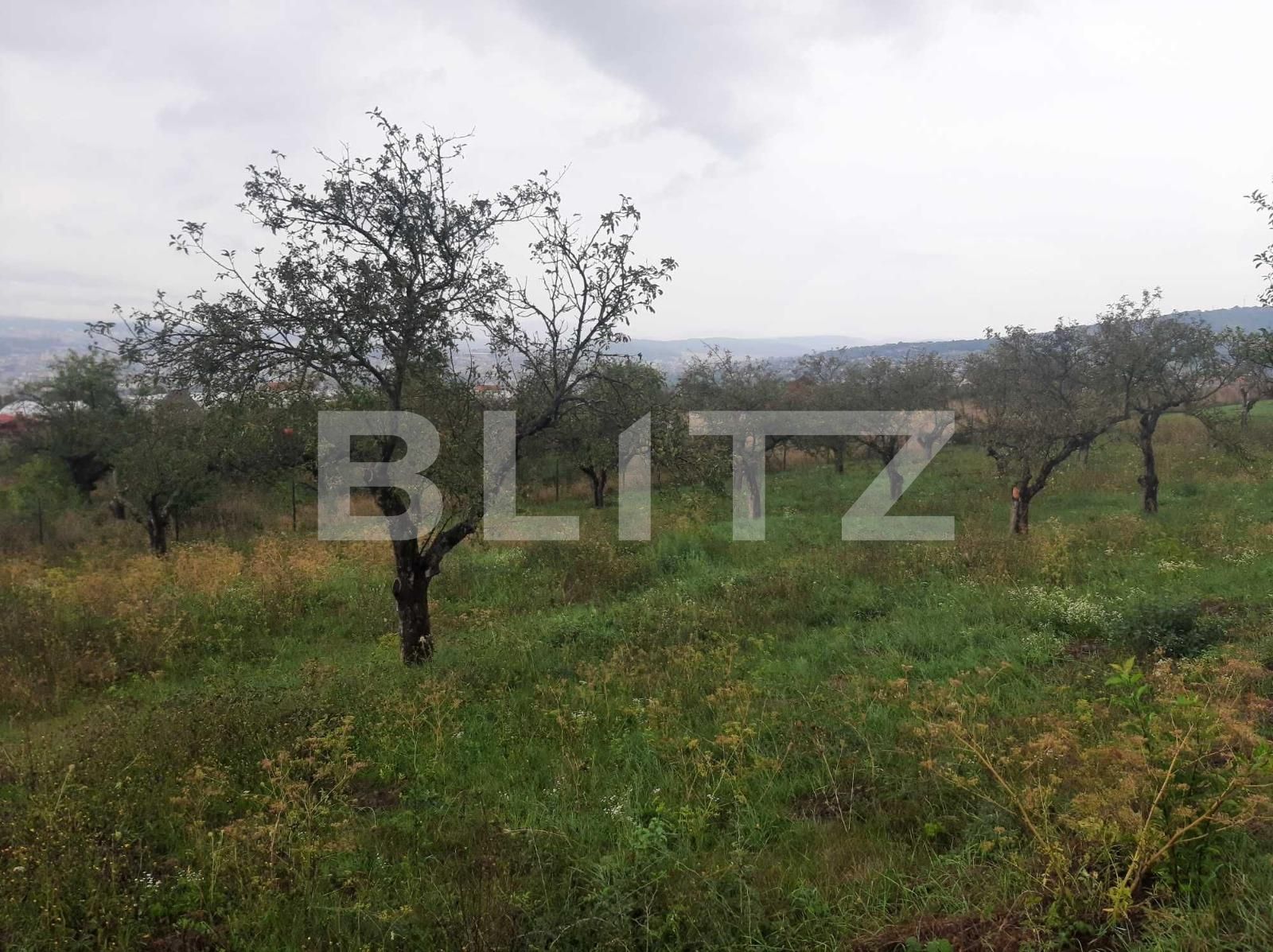 Teren de vânzare Iris - 98608TV | BLITZ Cluj-Napoca | Poza2