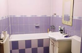 Apartament 2 camere, 48 mp, mobilat/utilat, zona Ioan Rus