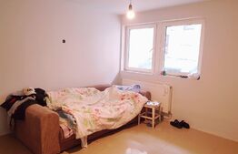 Apartament 2 camere, 48 mp, mobilat/utilat, zona Ioan Rus