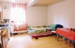 Apartament 2 camere, 48 mp, mobilat/utilat, zona Ioan Rus