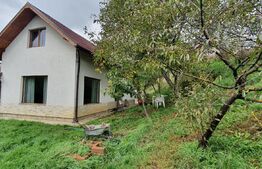 Casa individuala, 161 mp utili, 716 mp teren, Auchan iris 