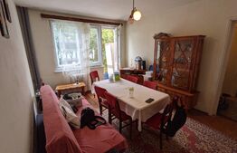 Apartament 2 camere, 44 mp, etaj intermediar, in Gheorgheni