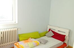 Apartament de 2 camere, 30 mp, modern, zona Politiei Rutiere 
