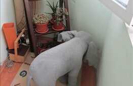 Apartament 4 camere, decomandat, 80 mp, loc parcare, boxa, zona Piata Marasti!