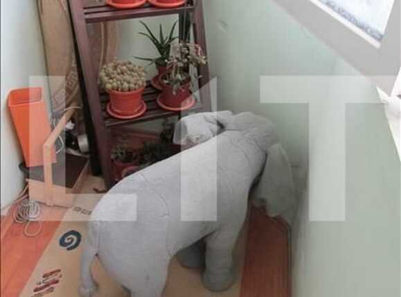 Apartament de vânzare 4 camere Marasti - 9876AV | BLITZ Cluj-Napoca | Poza14