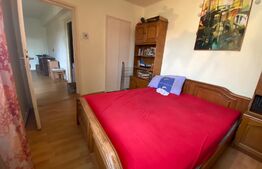 Apartament 2 camere, pet friendly, 42 mp, zona străzii Horea