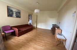 Apartament 2 camere, pet friendly, 42 mp, zona străzii Horea