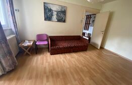 Apartament 2 camere, pet friendly, 42 mp, zona străzii Horea