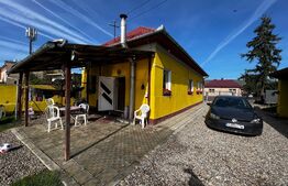 Casa individuala 144 mp, 1448 mp teren, piscina, zona Avram Iancu 