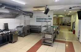 Catering-delivery, 300 mp, Zorilor