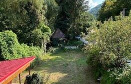 Casa de vacanta, 204 mp utili, 770 mp teren, Ciucea