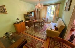 Apartament 2 camere, 45 mp, etaj intermediar, zona Horea