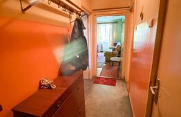 Apartament 2 camere, 45 mp, etaj intermediar, zona Horea