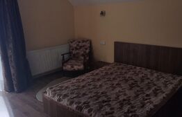 Casa premium, 240 mp utili, 800 mp teren, Dâmbul Rotund