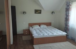 Casa premium, 240 mp utili, 800 mp teren, Dâmbul Rotund