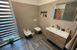 Casa ultrafinisata, 120 mp utili, 500 mp teren, Dezmir