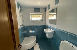 Apartament 3 camere decomandate, 130 mp, Someseni