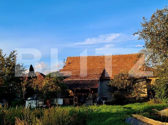 Casa de vânzare 3 camere Jucu - 98896CV | BLITZ Cluj-Napoca | Poza3