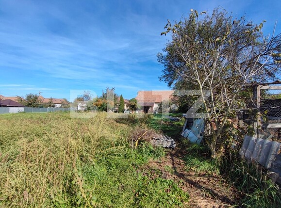 Casa de vânzare 3 camere Jucu - 98896CV | BLITZ Cluj-Napoca | Poza6