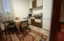 Apartament 2 camere, 47 mp, etaj intermediar, preluare chiriași, zona Horea