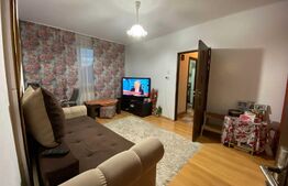 Apartament 2 camere, 47 mp, etaj intermediar, preluare chiriași, zona Horea