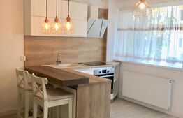 Apartament de 2 camere, 39 mp, etaj intermediar, zona străzii Dunării