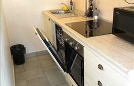 Inchiriere apartament 2 camere, 75 mp utili, cu aer conditionat, zona UMF!