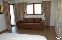 Inchiriere apartament 2 camere, 75 mp utili, cu aer conditionat, zona UMF!