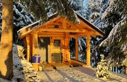 Cabana de vanzare, mobilata si utilata, Doda Pilii