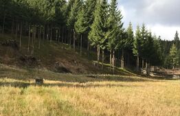 Cabana de vanzare, mobilata si utilata, Doda Pilii