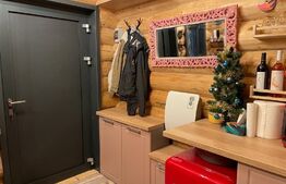 Cabana de vanzare, mobilata si utilata, Doda Pilii