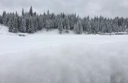 Cabana de vanzare, mobilata si utilata, Doda Pilii