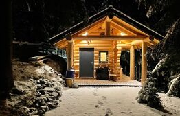 Cabana de vanzare, mobilata si utilata, Doda Pilii