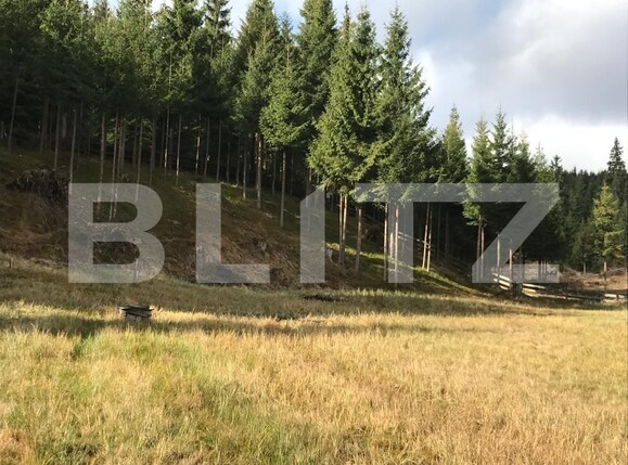 Casa de vânzare 1 camera Exterior Vest - 99019CV | BLITZ Cluj-Napoca | Poza11