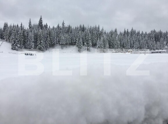 Casa de vânzare 1 camera Exterior Vest - 99019CV | BLITZ Cluj-Napoca | Poza10