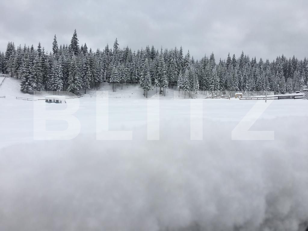 Casa de vânzare 1 camera Exterior Vest - 99019CV | BLITZ Cluj-Napoca | Poza10