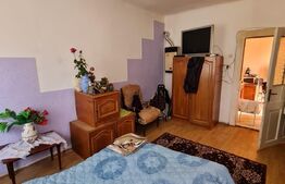 Casa alipita, 37 mp, pivnita, 82 mp de teren, zona Salii Polivalente