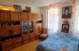 Casa alipita, 37 mp, pivnita, 82 mp de teren, zona Salii Polivalente