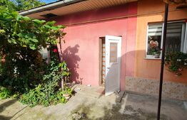 Casa alipita, 37 mp, pivnita, 82 mp de teren, zona Salii Polivalente