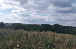 Teren intravilan, 872 mp, PUZ , zona Salicea