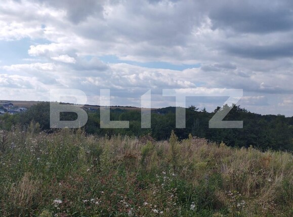 Teren de vânzare Salicea - 99065TV | BLITZ Cluj-Napoca | Poza1