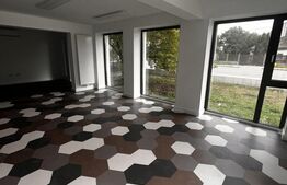 Spatiu productie, mic showroom, 120 mp, Marasti 