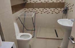 Apartament cochet, 2 camere, 45 mp, etaj 1, zona Subcetate