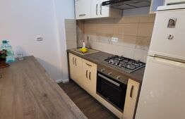 Apartament cochet, 2 camere, 45 mp, etaj 1, zona Subcetate