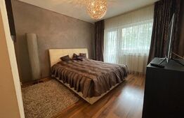 Apartament 4 camere, 77 mp, 2 balcoane, zona BRD Marasti